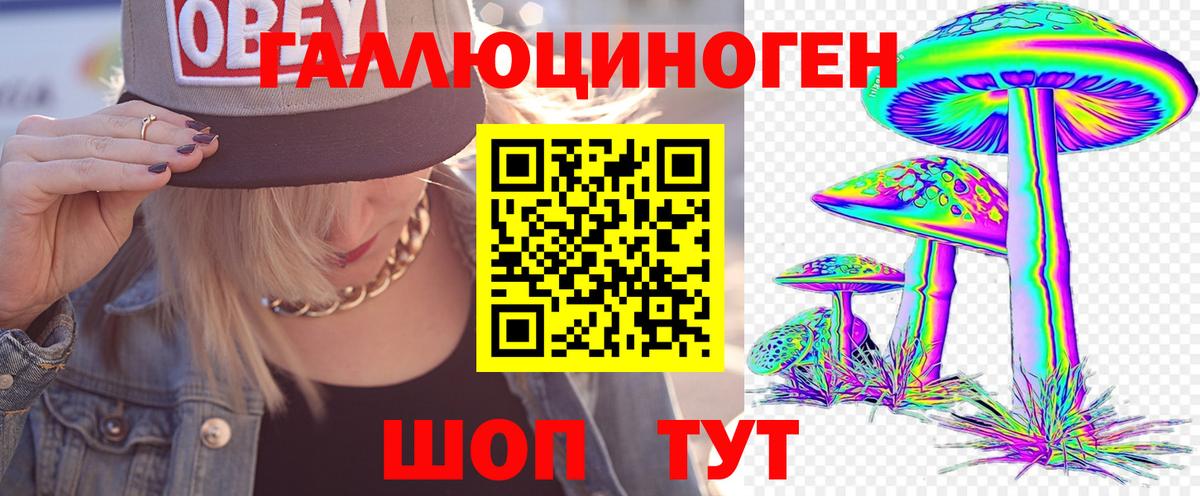 Псилоцибиновые грибы Psilocybine cubensis  Вход с VPN  Коломна 